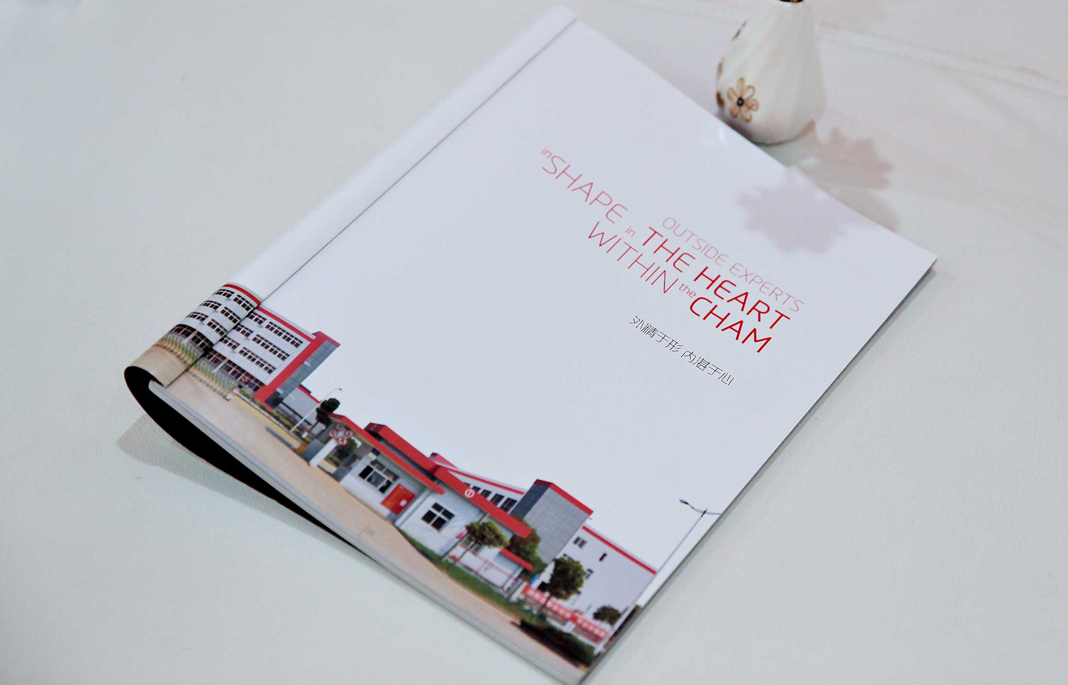 宣傳冊(cè)設(shè)計(jì)做的好表現(xiàn)在視覺上