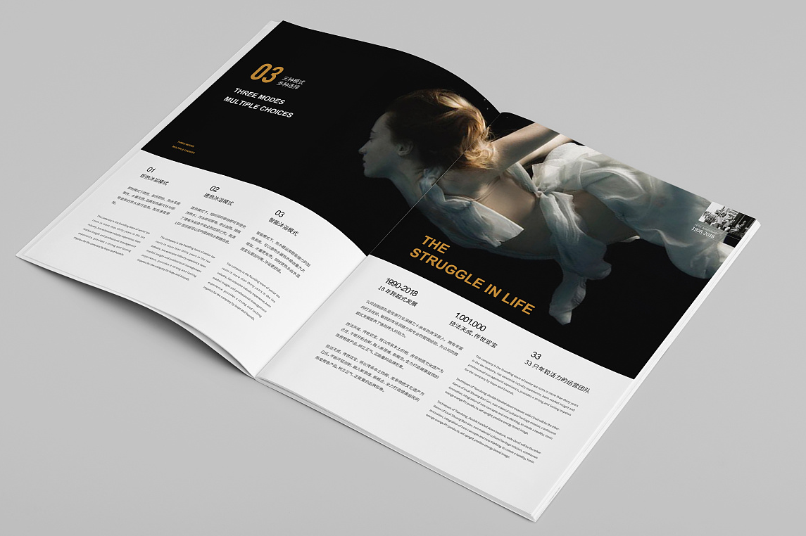 政府宣傳冊設(shè)計(jì)怎么做更好