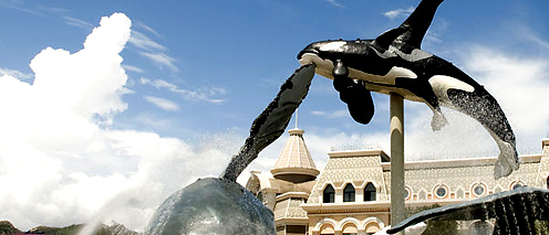 杭州品牌設(shè)計