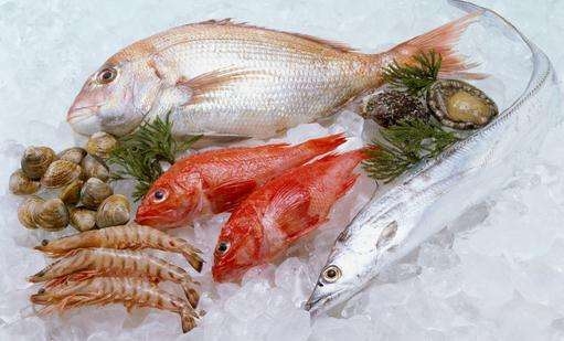 新鮮餐飲食材，冷凍海鮮食品包裝設計