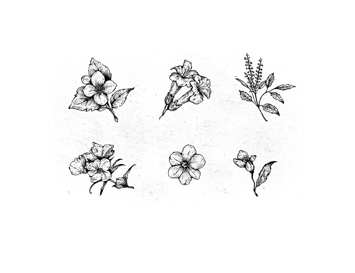 化妝品護(hù)膚產(chǎn)品包裝設(shè)計— 百分之百天然手工皂，沐浴露和洗滌液品牌包裝設(shè)計