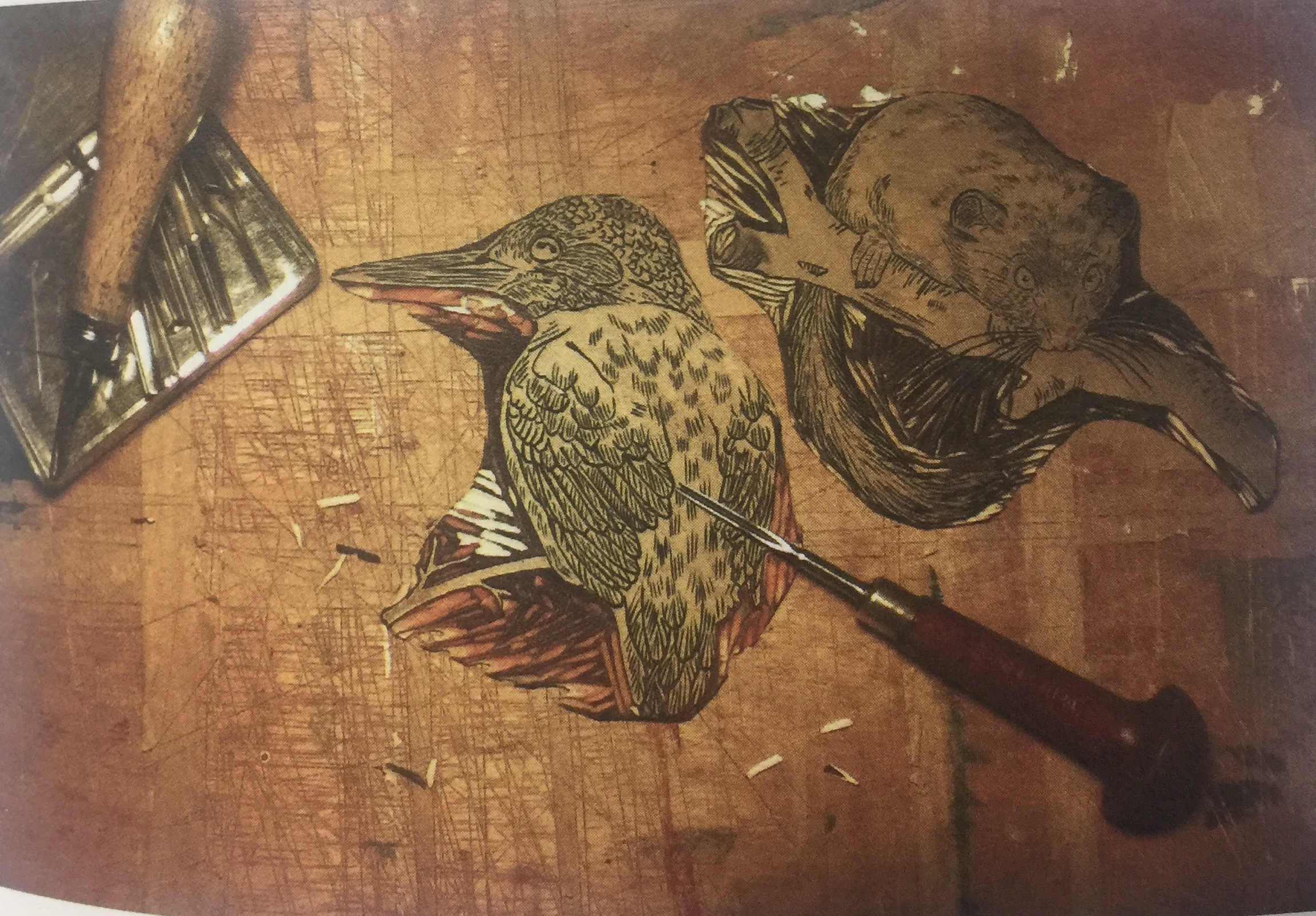 “來自國家公園的問候”主題葡萄酒包裝設(shè)計(jì)