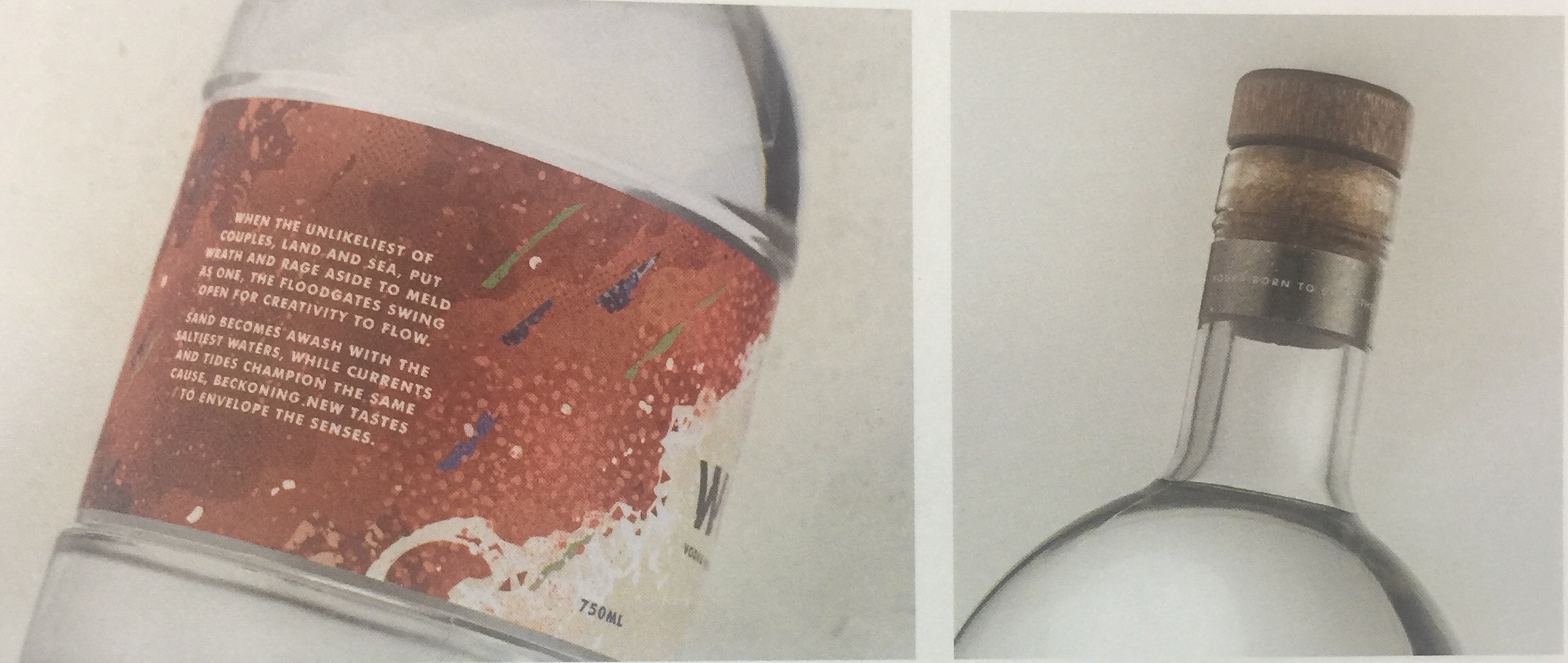 極具神秘感的伏特加瓶標設(shè)計