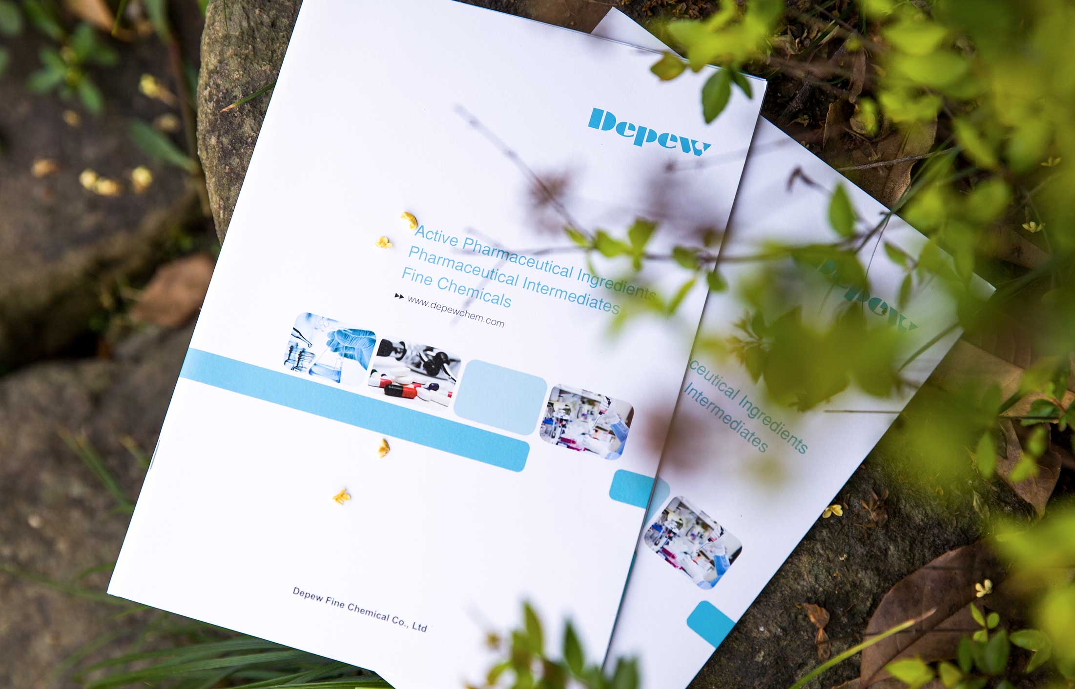 德普精細(xì)化工宣傳冊(cè)